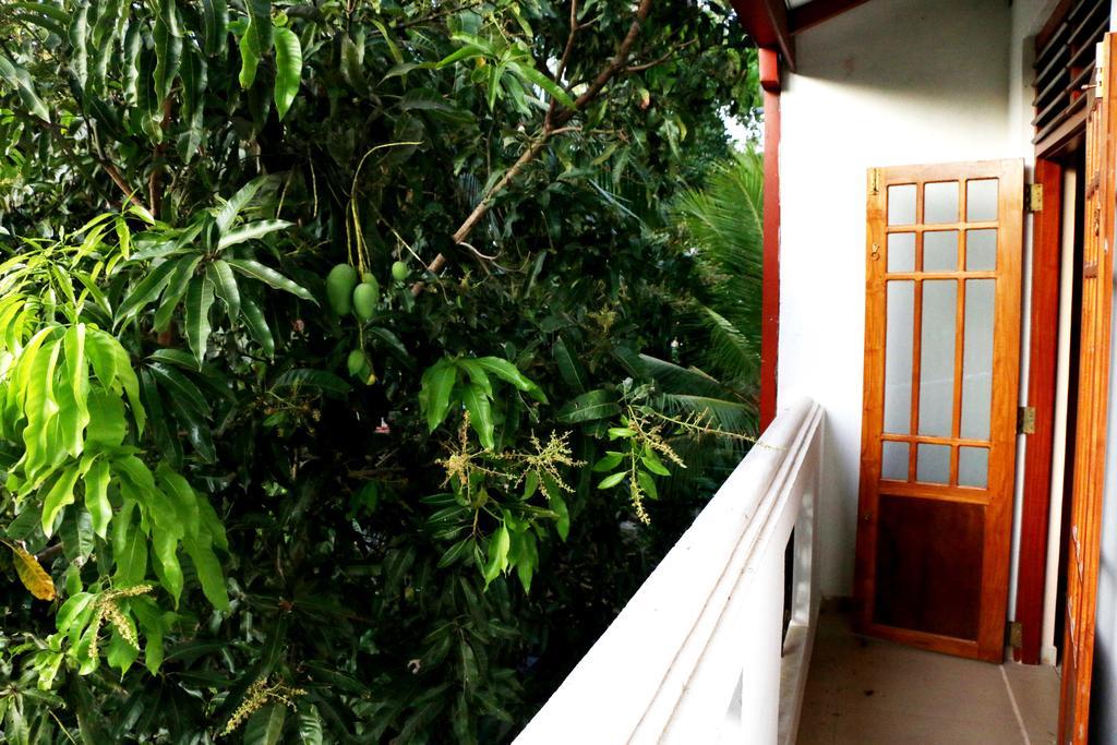 The Cool Nest Yala Hotel Tissamaharama Exterior photo
